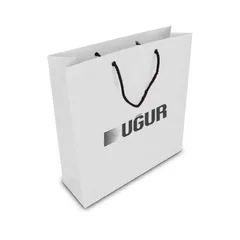 ALA-56 KÜÇÜK BOY KARTON ÇANTA(24x25.5x8,5 cm)